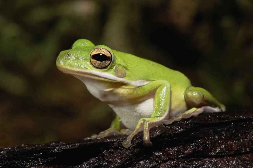 Students-PTI-2-2-580x395