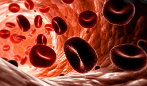 Blood cells