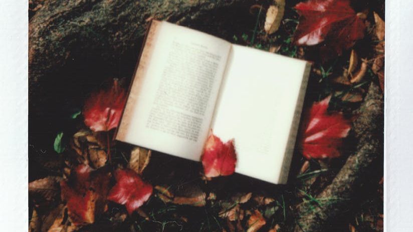 This is an image of Top 5 books to read at least once in your life. 